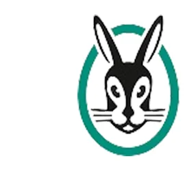 vailant logo