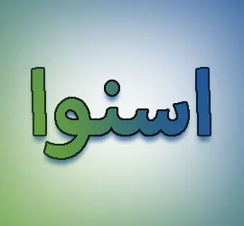 نمایندگی یخچال snowa